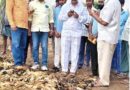 ప్రమాదవశాత్తు కాలిపోయిన పంట పొలాలను పరిశీల‌న‌…