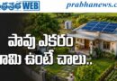 Eco Friendly Lifestyle | బిజీ లైఫ్‌కు బైబై…