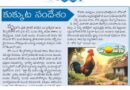 6thMaychintana | కోడి నేర్పే జీవిత పాఠాలు