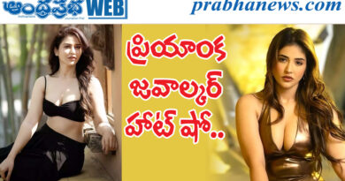 priyanka jawalkar| తెలుగమ్మాయి సొయ‌గాలు