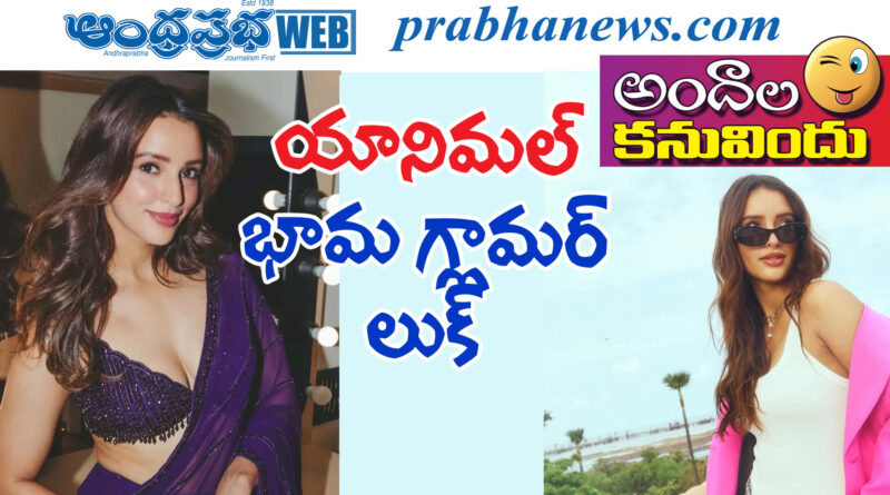triptii dimni| త్రిప్తి దిమ్రి అందాల హొయ‌లు