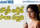 sai pallavi| ఫ్యాన్స్, సెలబ్రిటీల నుంచి శుభాకాంక్షలు