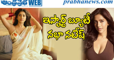 nabha natesh| రీ-ఎంట్రీలో వ‌రుస సినిమాల‌తో బిజీబిజీ