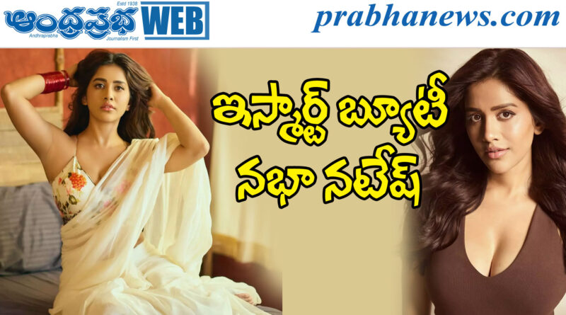 nabha natesh| రీ-ఎంట్రీలో వ‌రుస సినిమాల‌తో బిజీబిజీ