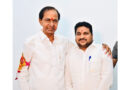 అచ్చంపేట టీఆర్ఎస్ సభ్యత్వ నమోదు ఇన్చార్జిగా శుభప్రద పటేల్
