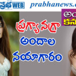 pragya nagra| ‘లగ్గం’ సినిమా హీరోయిన్ హాట్ షో