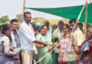 ఉపాధి కూలీలకు మజ్జిగ ప్యాకెట్లు పంపిణీ