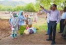 చెరువుల అభివృద్ధితో భూగర్భ జలాల పెంపు