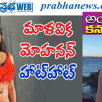 malavika mohanan| గుబులు రేపుతున్న రాజాసాబ్ హీరోయిన్