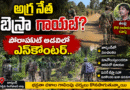 Moaist Leader Miss : అగ్ర నేత బెస్రా,, మళ్లీ మాయం ? Andhrfa Prabha Spl News