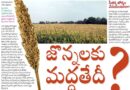 60to70 kilometers | జొన్న రైతుకు.. మ‌ద్ద‌తేదీ?