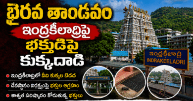 Dog Attack : భైరవ తాండవం Andhra Prabha Top News