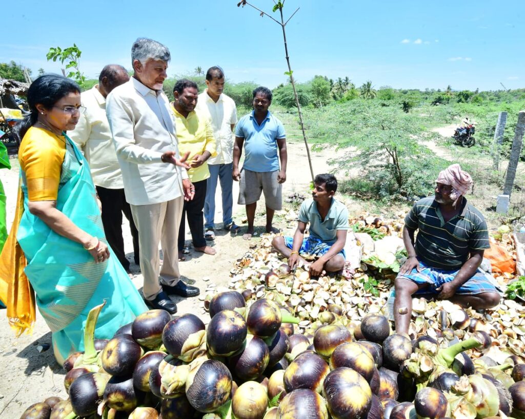 Ap Cm Couple