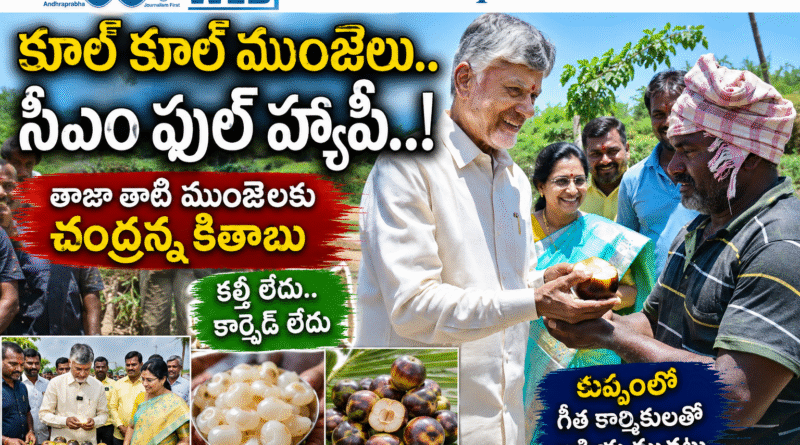 Ap Cm Couple : కల్తీ లేదు.. కార్భైడ్​ లేదు Andhra Prabha Spl News