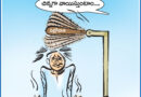 20thMayCartoon