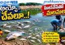 Heatwave Delhi : అయ్యో.. చేపలూ..! Andhra Prabha Top News