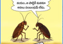 24thMayCartoon