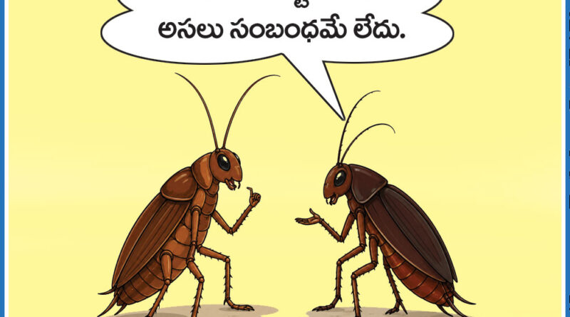 24thMayCartoon