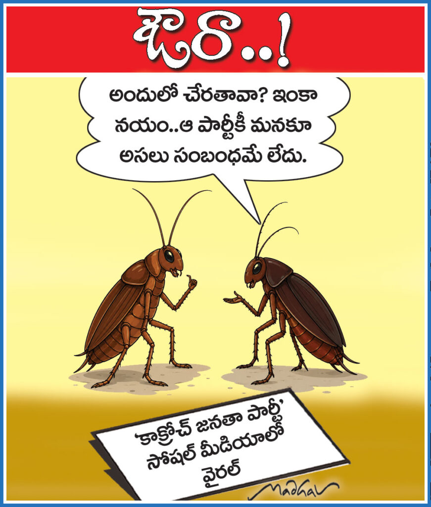 24thMayCartoon