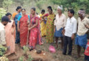 గిరిపురంలో ఉపాధి హామీ పనులకు శ్రీకారం