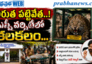 Leopard-Captured : చిరుత పట్టివేత Andhra Prabha Top News