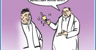 30thmaycartoon