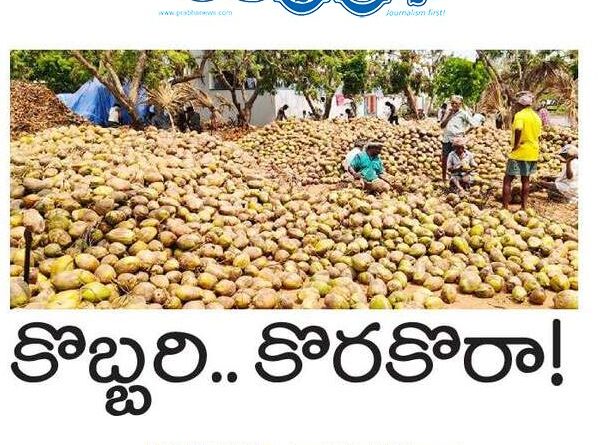 100 coconut trees |