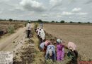 పల్లెలకు జీవధార… ‘జలధార – జల హారతి’!