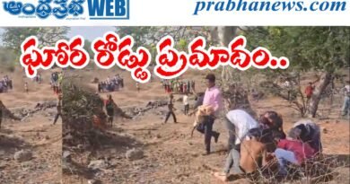 12 people died |
