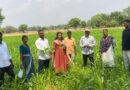 ప్రకృతి వ్యవసాయంతో భూమి ఆరోగ్యాన్ని కాపాడగలం