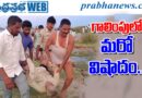 5people missing |
