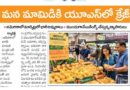 Indian Mangoes in USA | అమెరికాలో భారత మామిడి పండ్లకు భారీ డిమాండ్