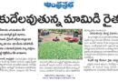 ఎగుమతుల తగ్గుదలతో మార్కెట్ సంక్షోభం