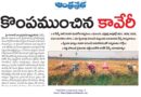 Kaveri Seeds farmers loss | దిగుబడి ఆశలు ఆవిరి.. అప్పుల్లో అన్నదాతలు
