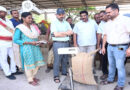 వరి ధాన్యం, మక్కలను త్వరితగతిన మిల్లులకు తరలించాలి