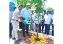 రహదారి వనం కార్యక్రమంలో కలెక్టర్, ఎస్పీ..
