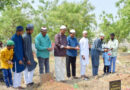 భక్తిప్రపత్తులతో బక్రీద్