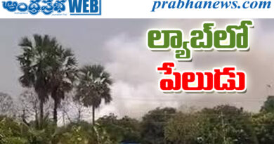 Pharma Labs