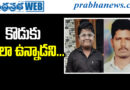 బాలుడి తండ్రిపైనే ఆరోపణలు…