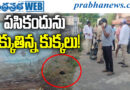 Telangana
