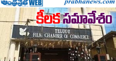 Film Chamber