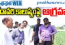 Pawankalyan