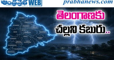 Weather