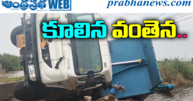 Bridge Collapse
