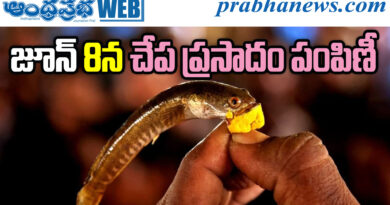 Fish Prasadam