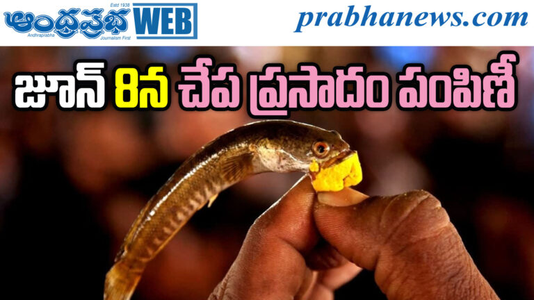 Fish Prasadam