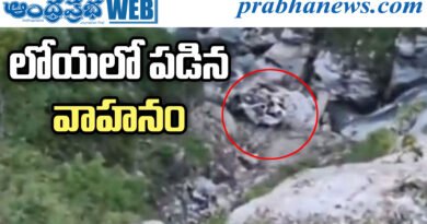 Himachal Accident