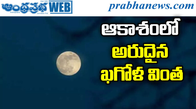Blue Micromoon