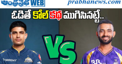 16mayipl