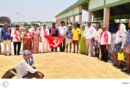 మొక్కజొన్న రైతుల ఆవేదన…